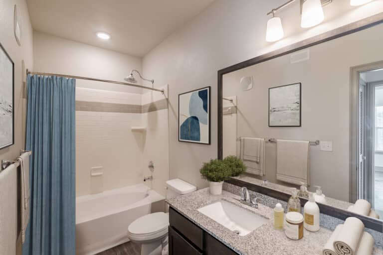 Windsong Estates at Prosper-POI-047